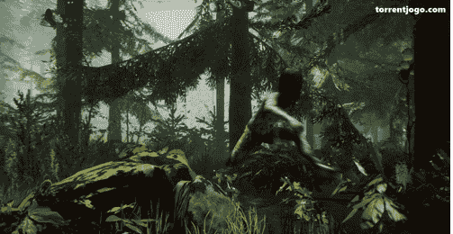 Recursos do The Forest Baixar PC?